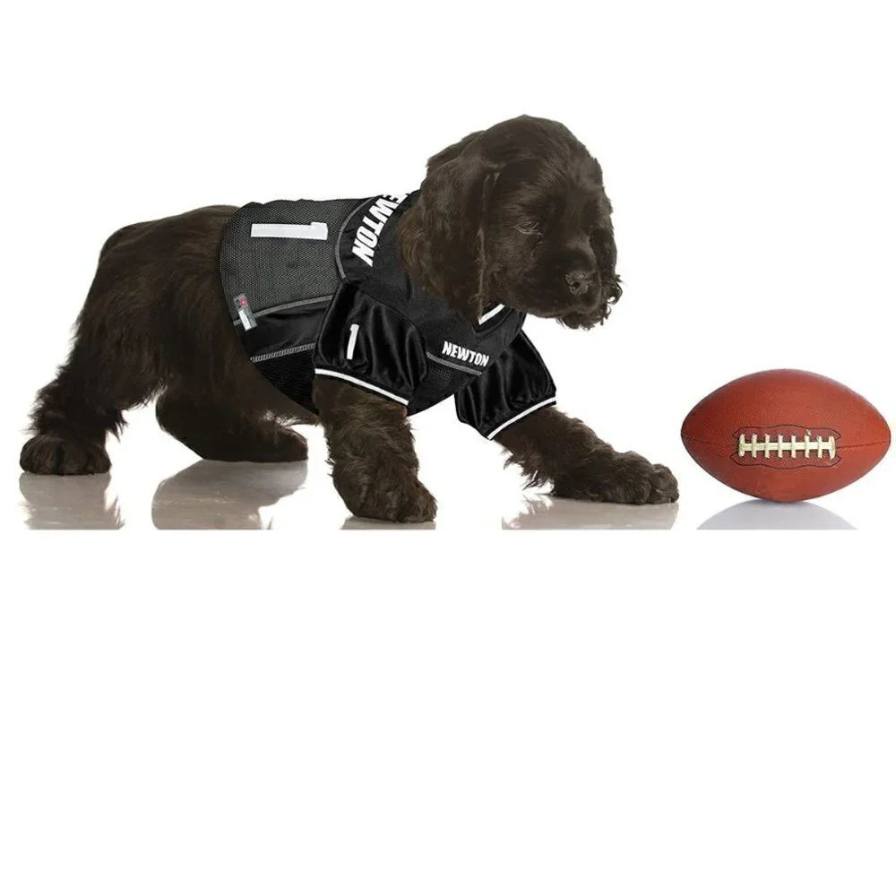 Cam Newton Mesh Dog & Cat Jersey, Small